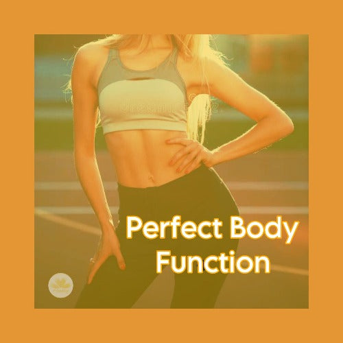 Función corporal perfecta Iniciación