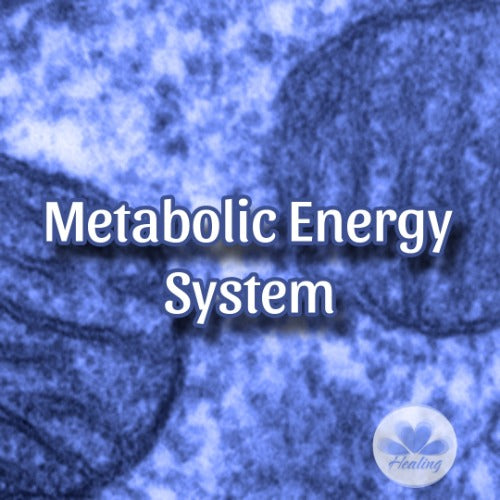 Sistema de Energía Metabólica Iniciación