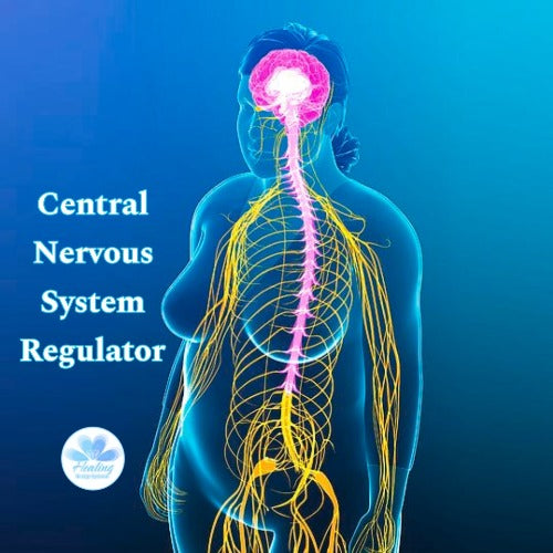 Regulador del sistema nervioso central Iniciación