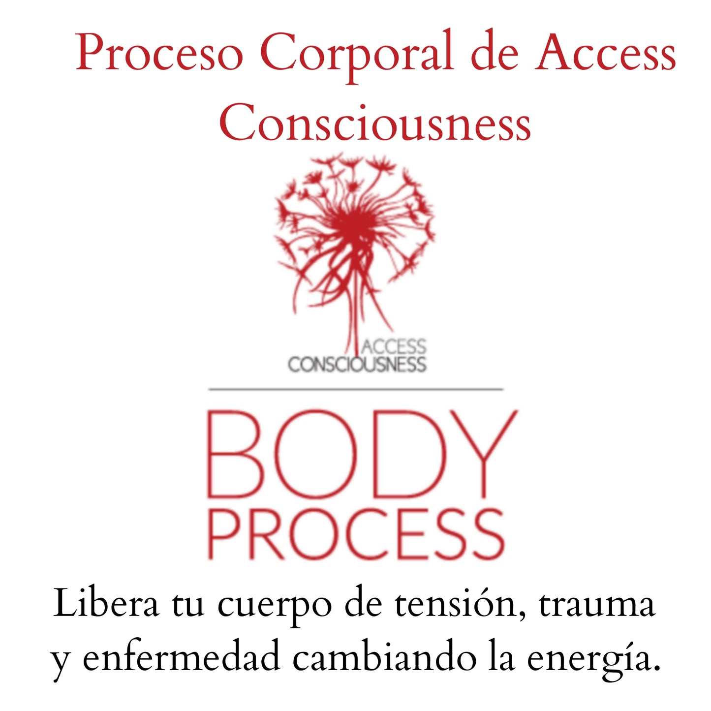 ¡NUEVO! Acceder a los procesos corporales de la conciencia