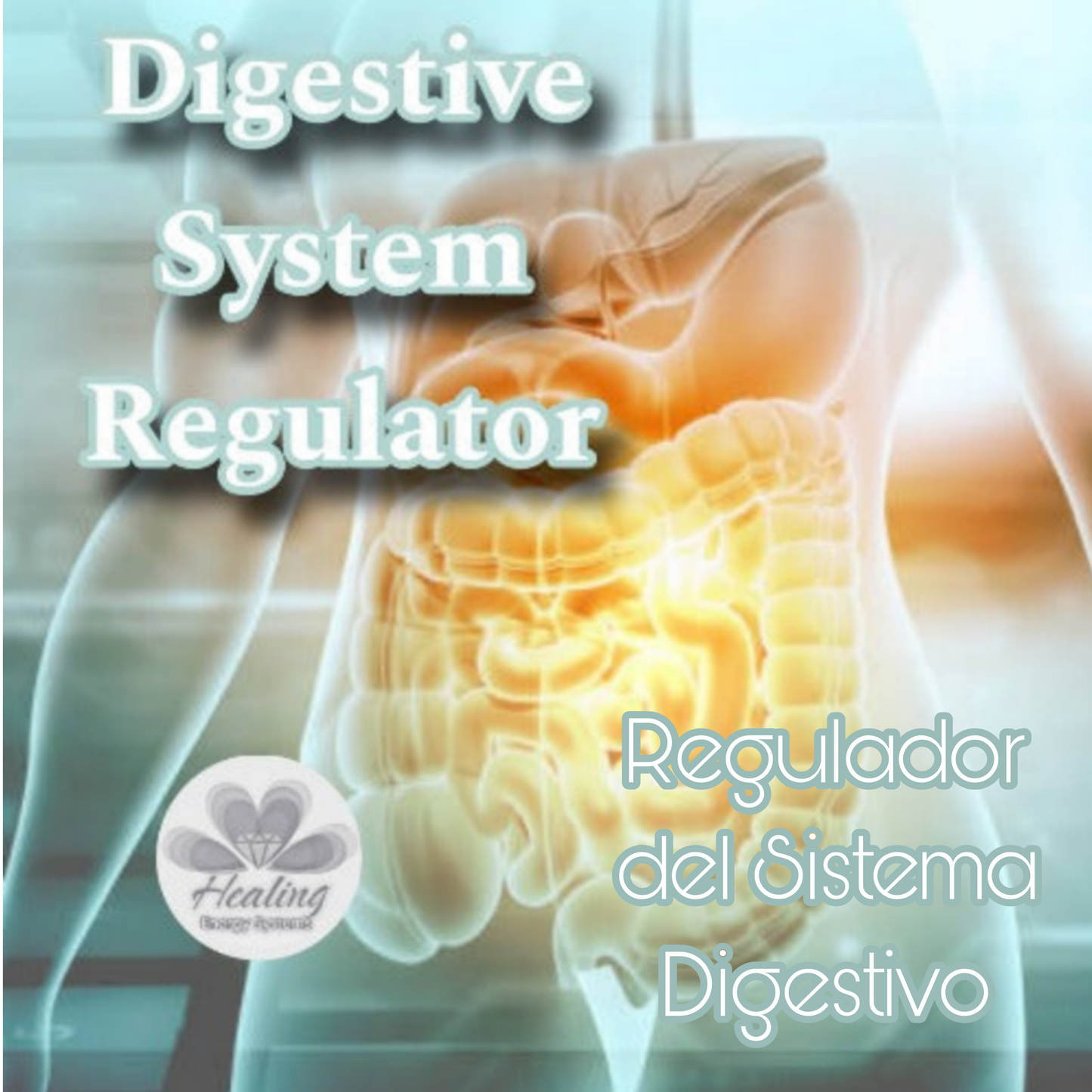 Regulador del sistema digestivo Iniciación