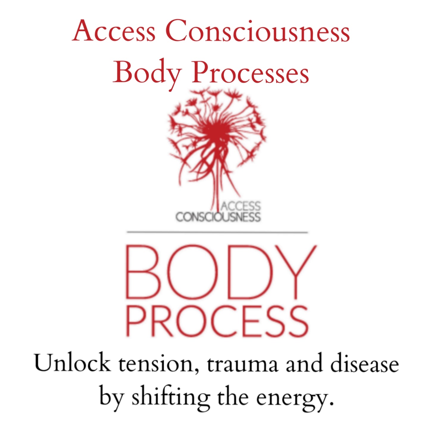 NEW! Access Consciousness Body Processes