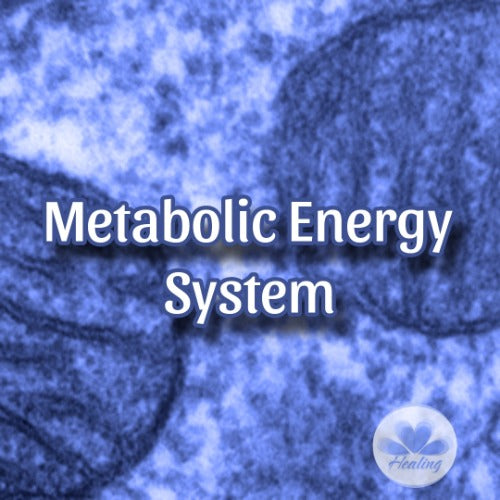 Metabolic Energy System Attunement