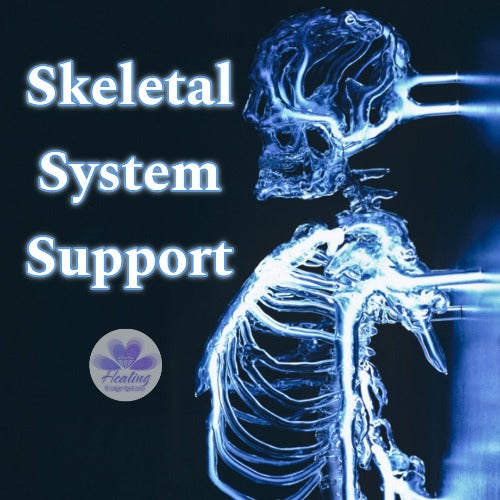 Skeletal System Support Attunement