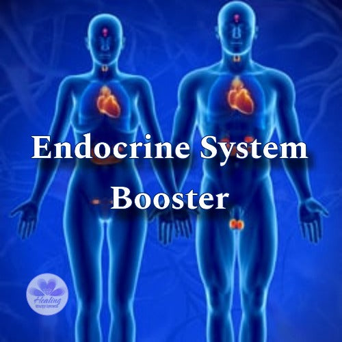Endocrine System Booster Attunement