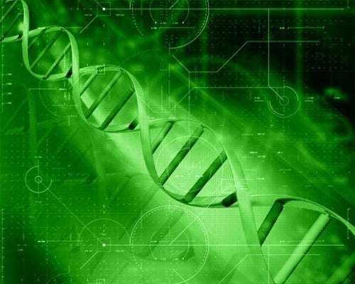 DNA Codes to Activate Glands  Levels 1-3