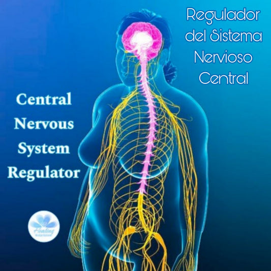 Central Nervous System Regulator Attunement