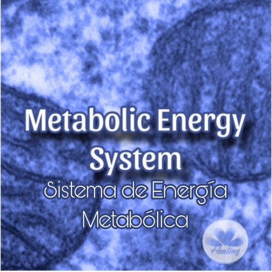 Metabolic Energy System Attunement