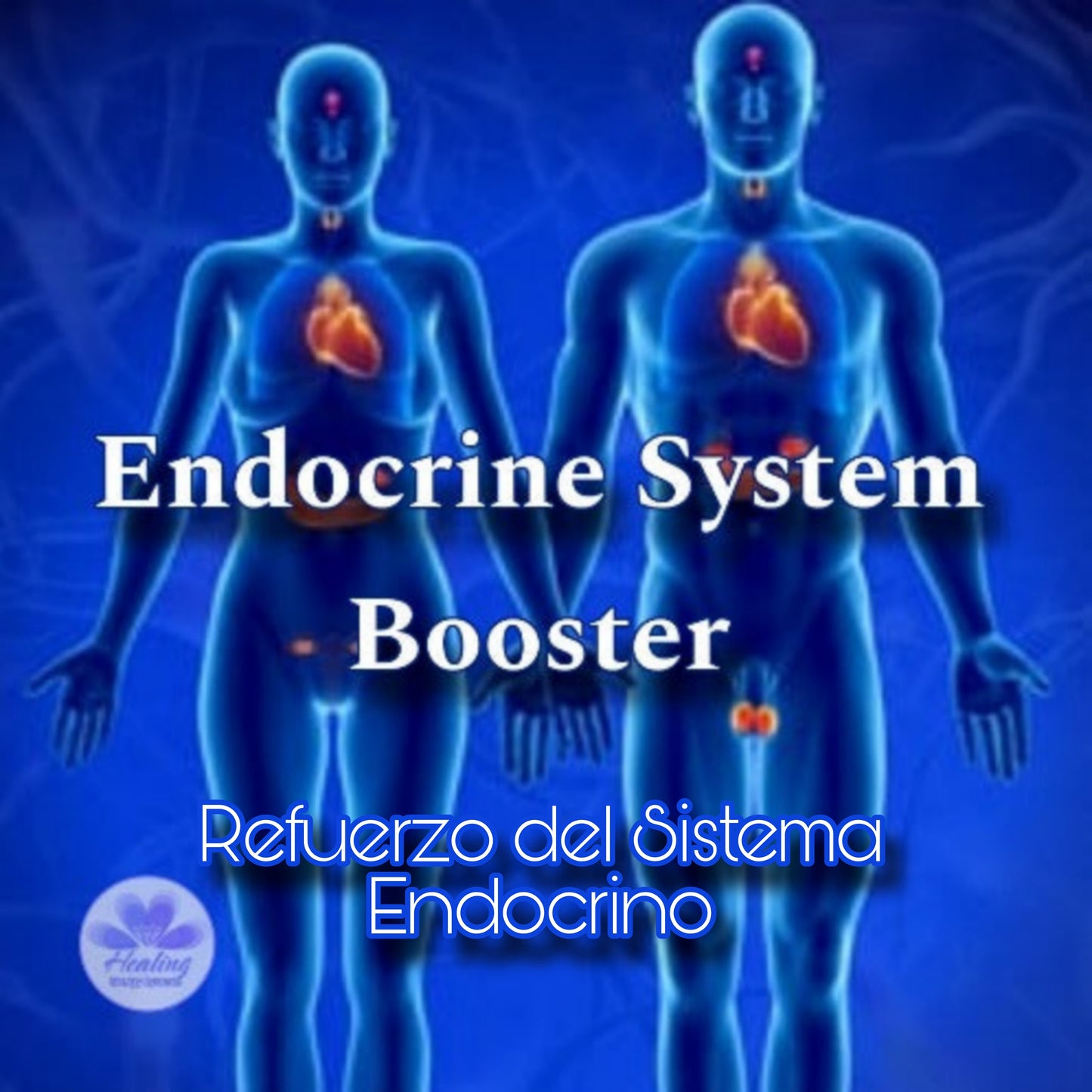 Endocrine System Booster Attunement