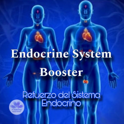 Endocrine System Booster Attunement