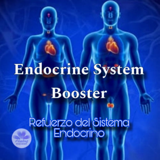 Endocrine System Booster Attunement