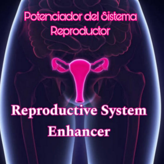 Reproductive System Enhancer Attunement